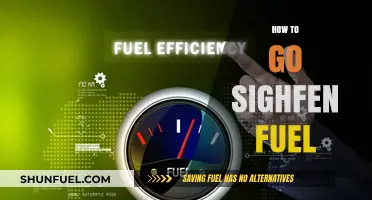 Efficient Strategies to Save Money on SigHifen Fuel Costs
