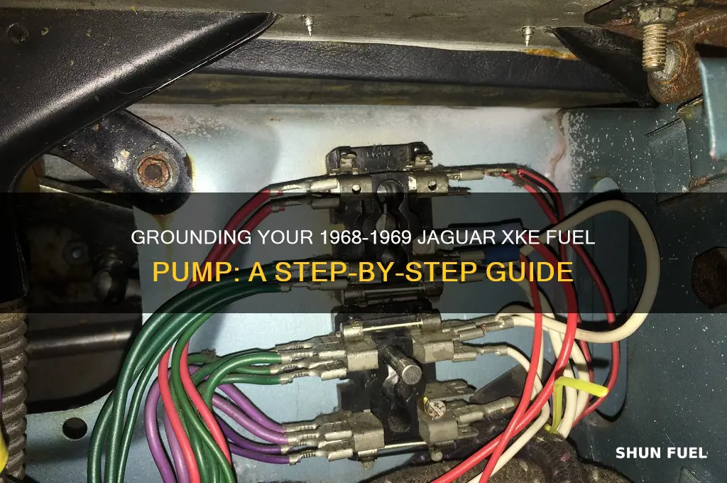 how to ground 1968-1969 jaguar xke fuel pump