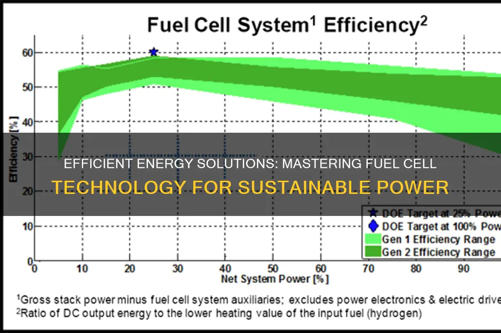how to have fuel cells
