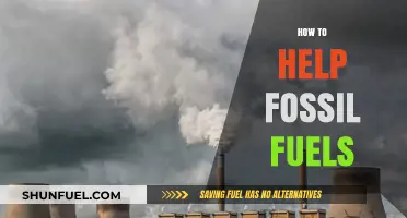 Sustaining Energy: Strategies to Support and Extend Fossil Fuel Use
