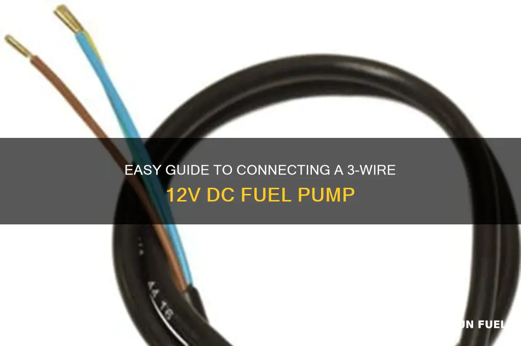 how to hook up 3 wire12v dc fuel pump