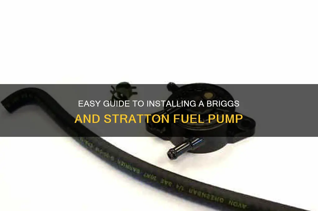 how to hook up a briggs and stratton fuel pump