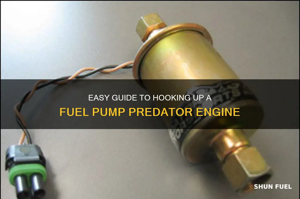 how to hook up a fuel pump predator engine