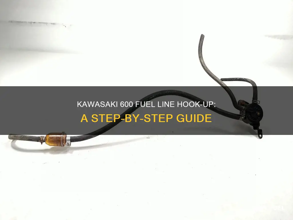 how to hook up kawasaki 600 fuel lines