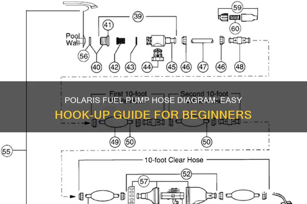 how to hook up polaris fuel pump hose diagram