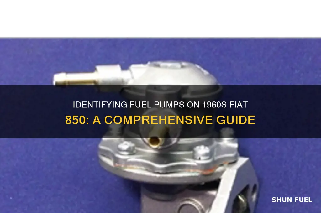 how to id fuel pumps on 1960