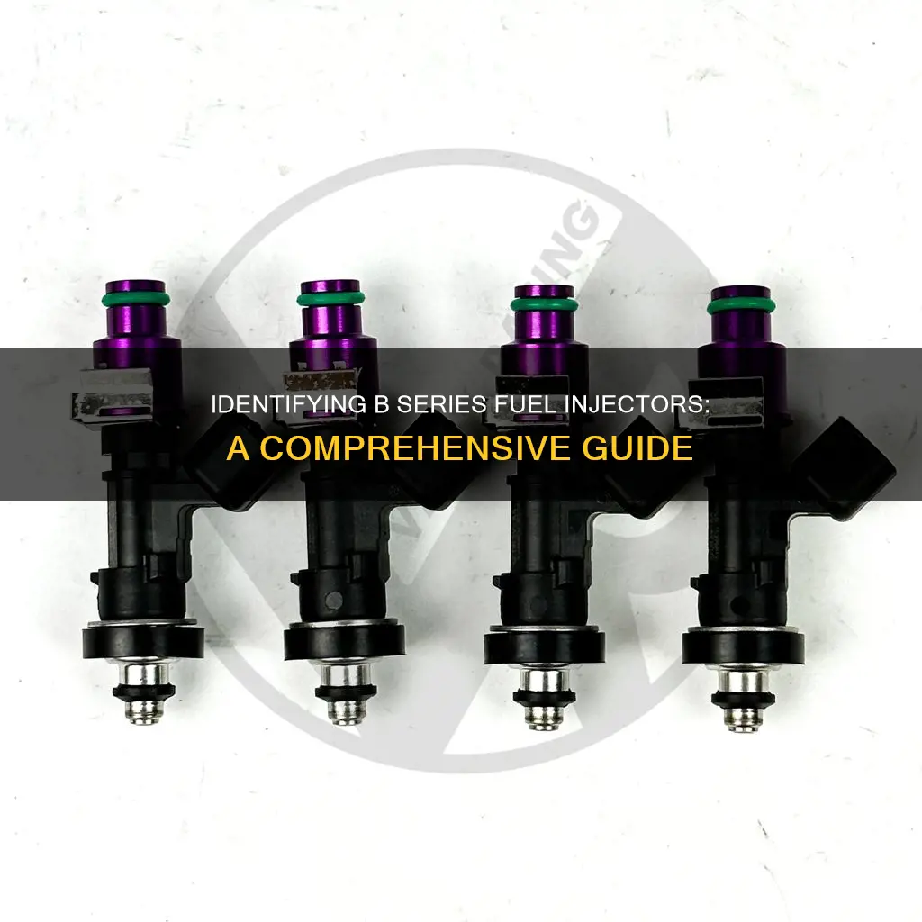 how to identify a b series fuel injector