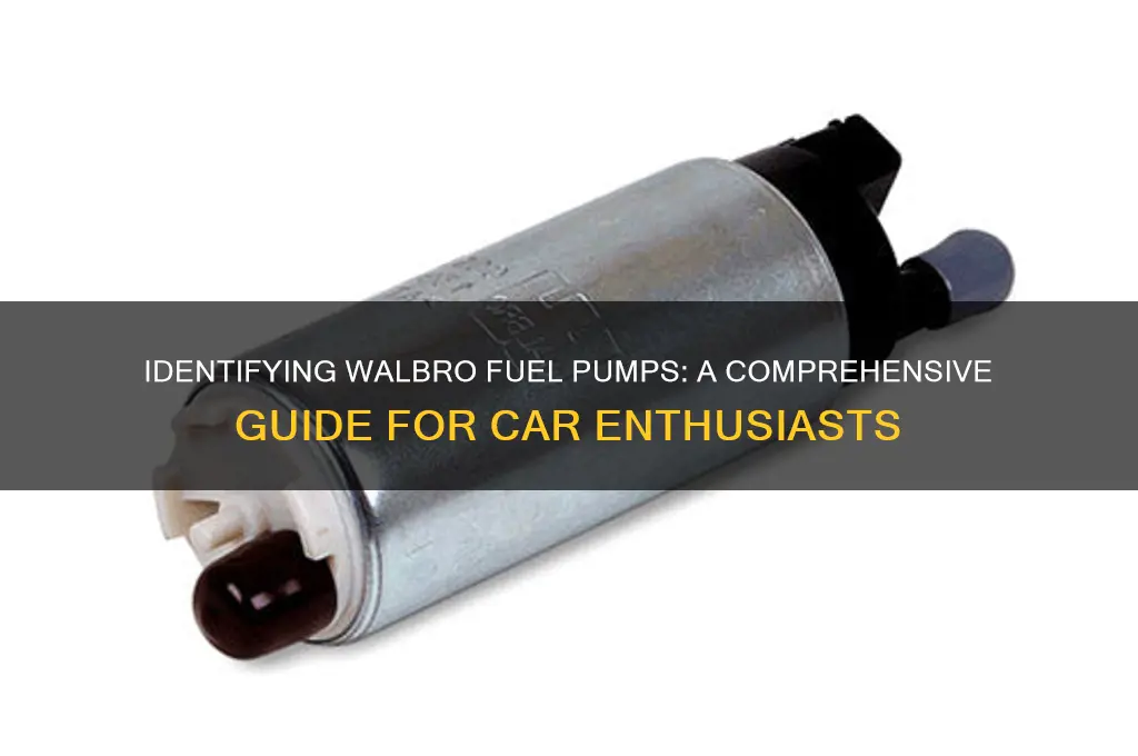 how to identify a walbro fuel pump