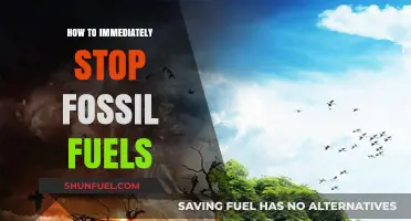 Urgent Action: How to Immediately Halt Fossil Fuel Dependence