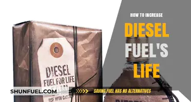 Extending Diesel Lifespan: Tips for Longevity