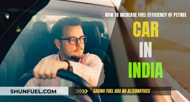 Maximizing Fuel Efficiency: Tips for Indian Petrol Car Owners