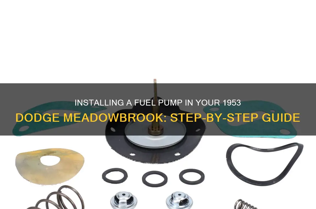 how to install a 1953 dodge meadowbrook fuel pump