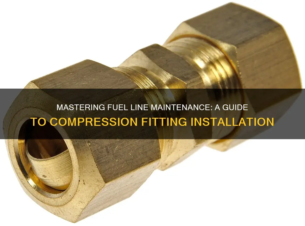 how to install a compression fitting on fuel line