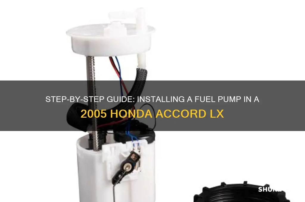 how to install a fuel pump 2005 honda accord lx