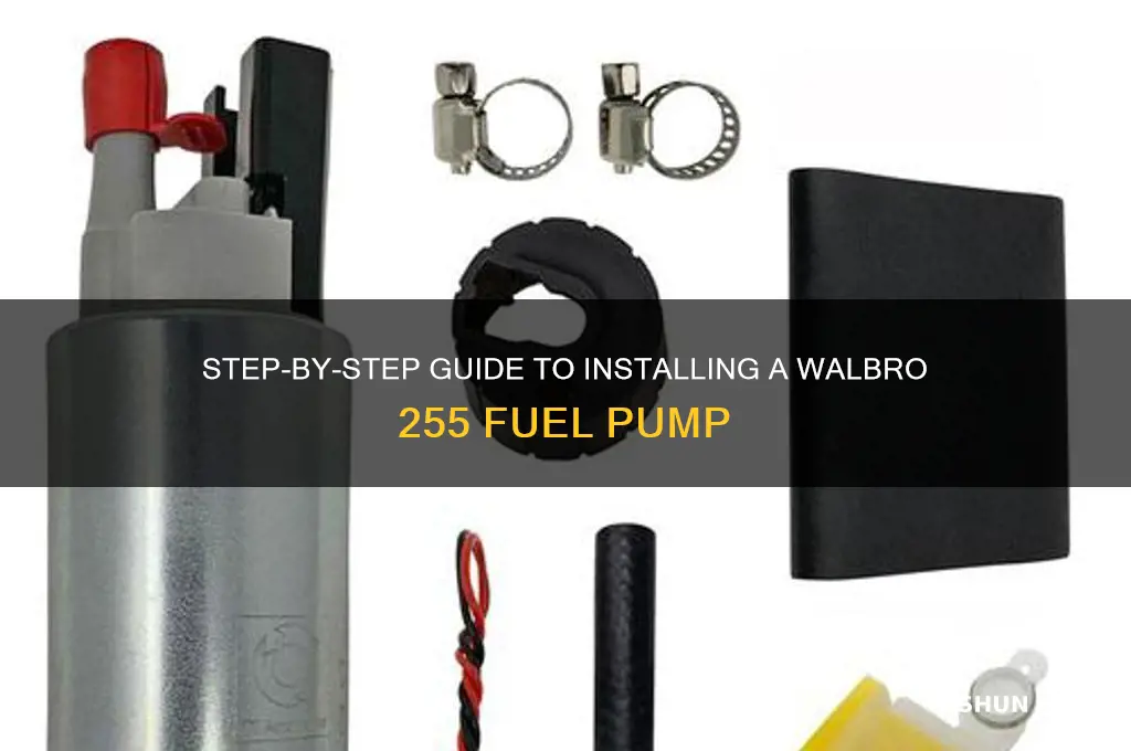 how to install a walbro 255 fuel pump