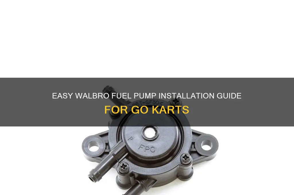 how to install a walbro fuel pump go kart