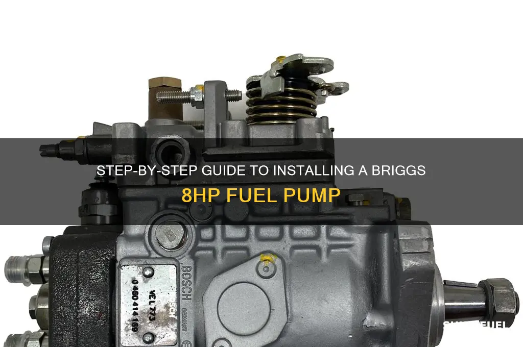 how to install briggs 8hp fuel pump