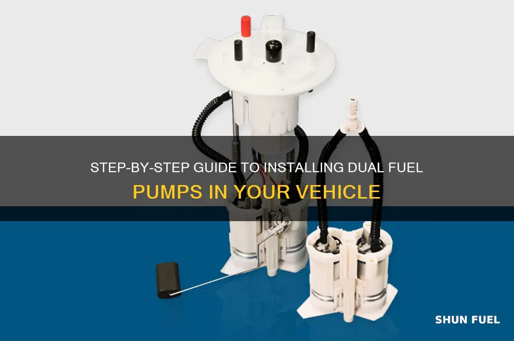 how to install dual fuel pumps