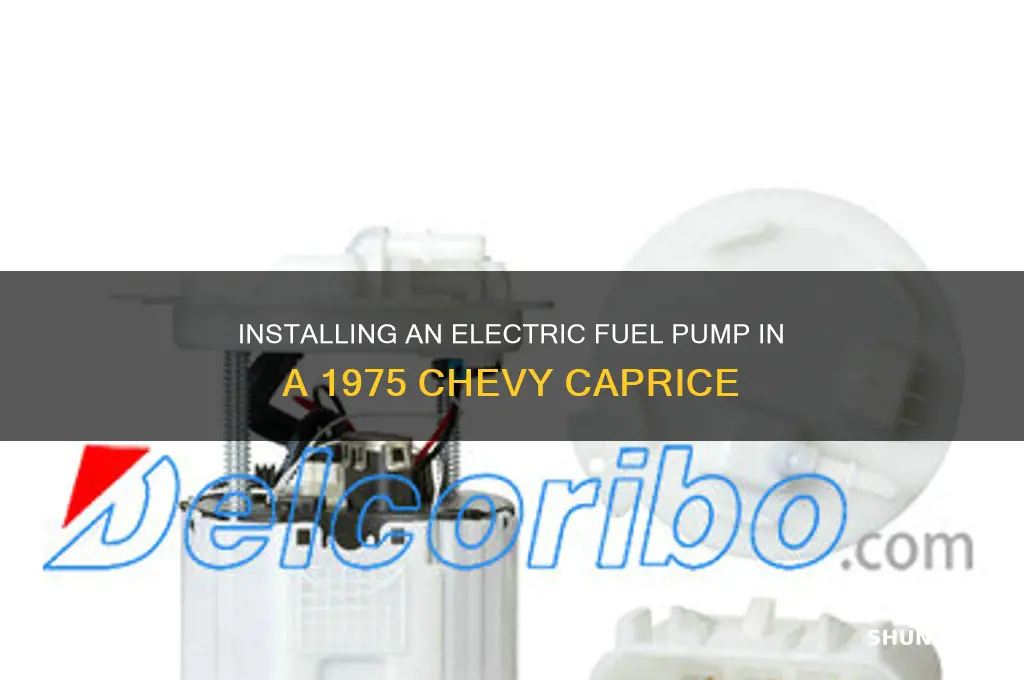 how to install electric fuel pump 1975 chevy caprice
