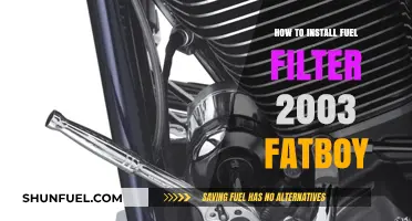 Easy Fuel Filter Installation Guide for 2003 Fatboy
