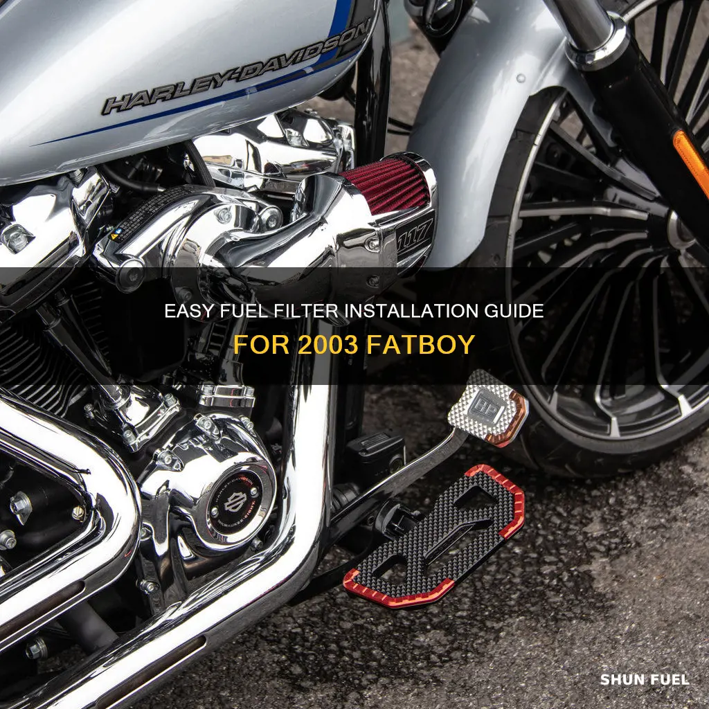 how to install fuel filter 2003 fatboy