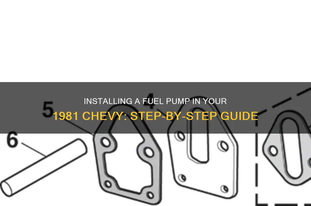 how to install fuel pump 81 chevy