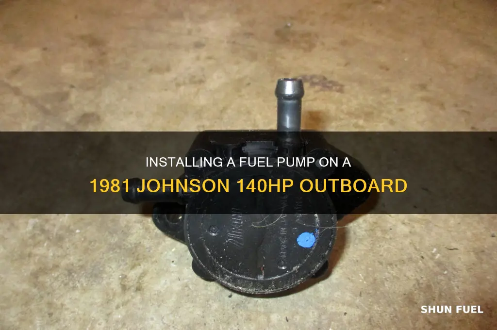 how to install fuel pump johnson 1981 140hp