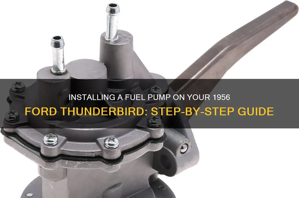 how to install fuel pump on 1956 ford thunderbird