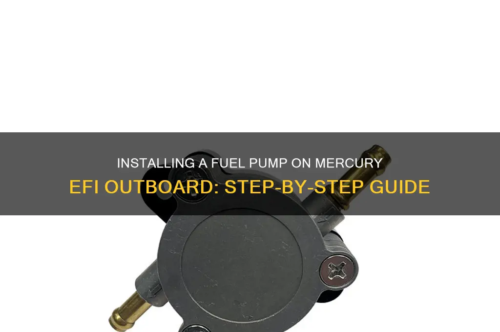how to install fuel pump on mercury efi outboard
