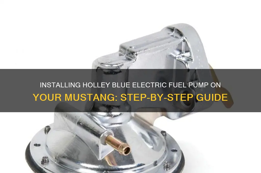 how to install holley blue electric fuel pump on mustang
