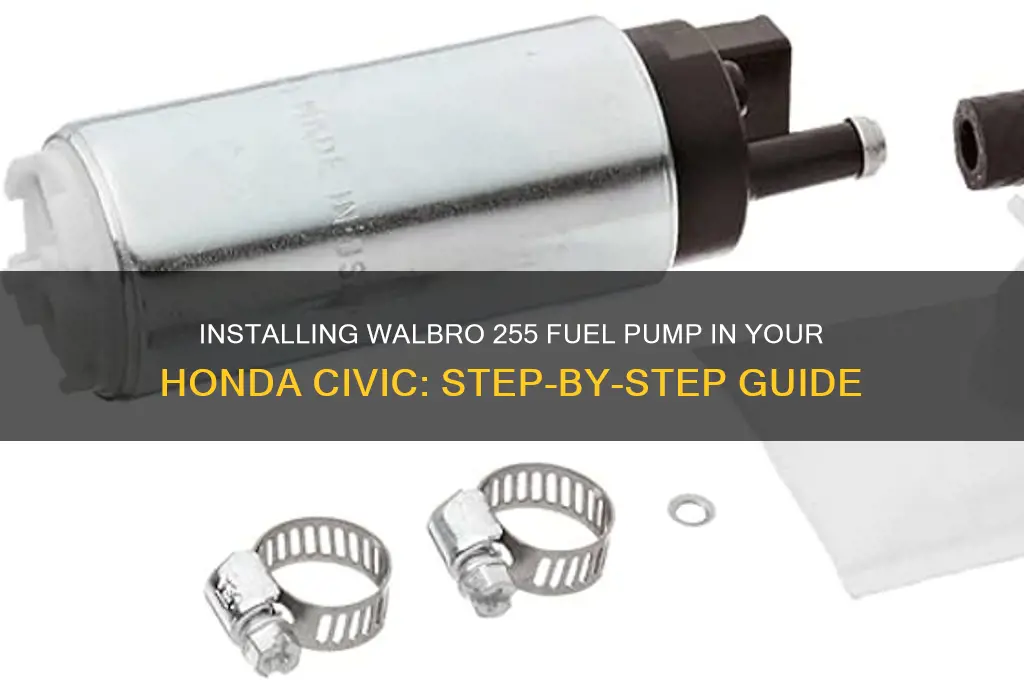 how to install walbro 255 fuel pump civic