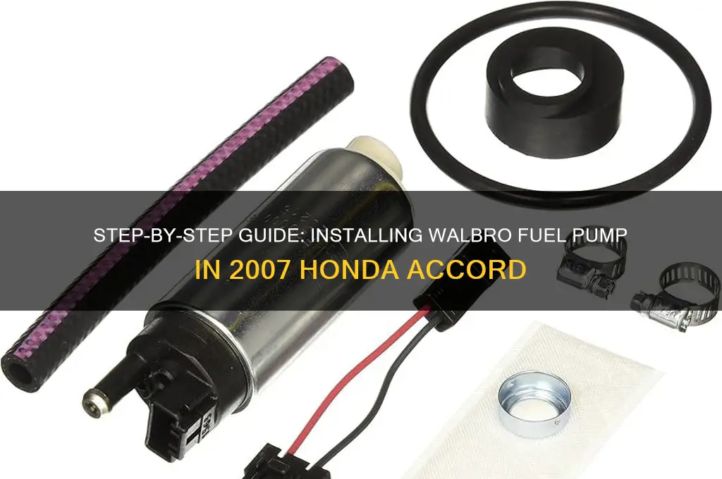 how to install walbro fuel pump 2007 accord