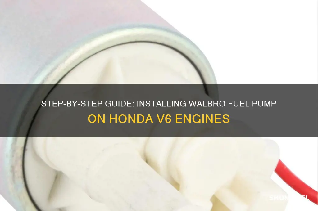 how to install walbro fuel pump honda v6