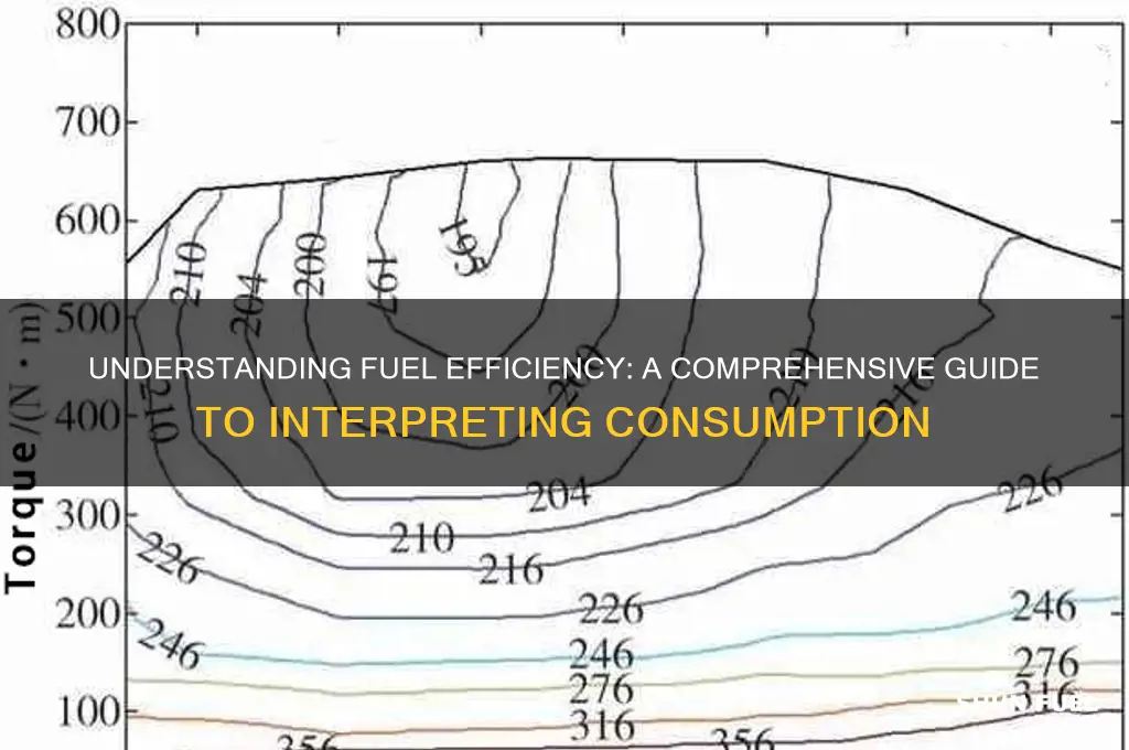 how to interpret fuel consumption