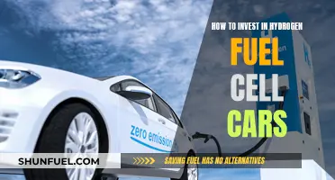 Hydrogen Fuel Cell Cars: The Future of Green Transportation