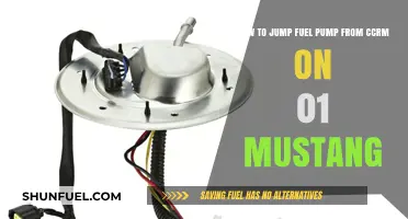 Jumping Fuel Pump from CCRM on 2001 Mustang: Step-by-Step Guide