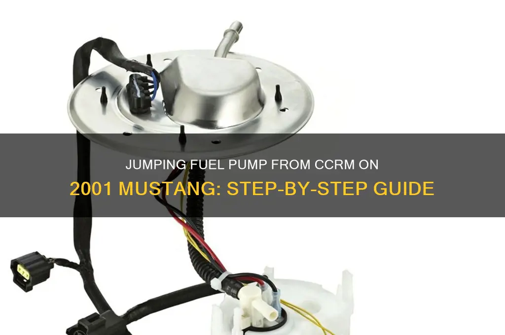 how to jump fuel pump from ccrm on 01 mustang