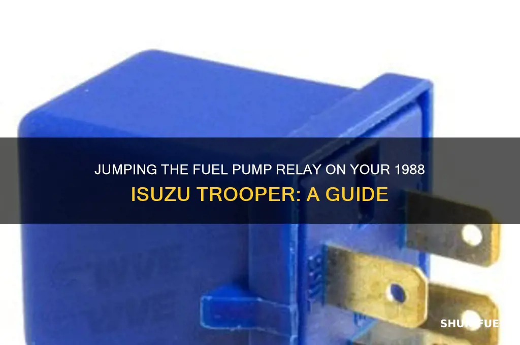 how to jump the fuel pump relay 88 isuzu trooper