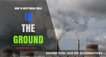 Sustainable Solutions: Strategies to Leave Fossil Fuels Untapped