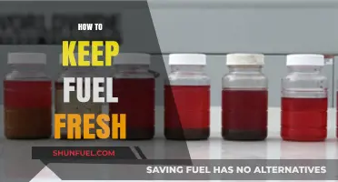 Essential Tips to Preserve Fuel Freshness and Extend Its Lifespan