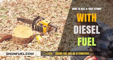 Destroying Tree Stumps: Using Diesel Fuel for Quick Results