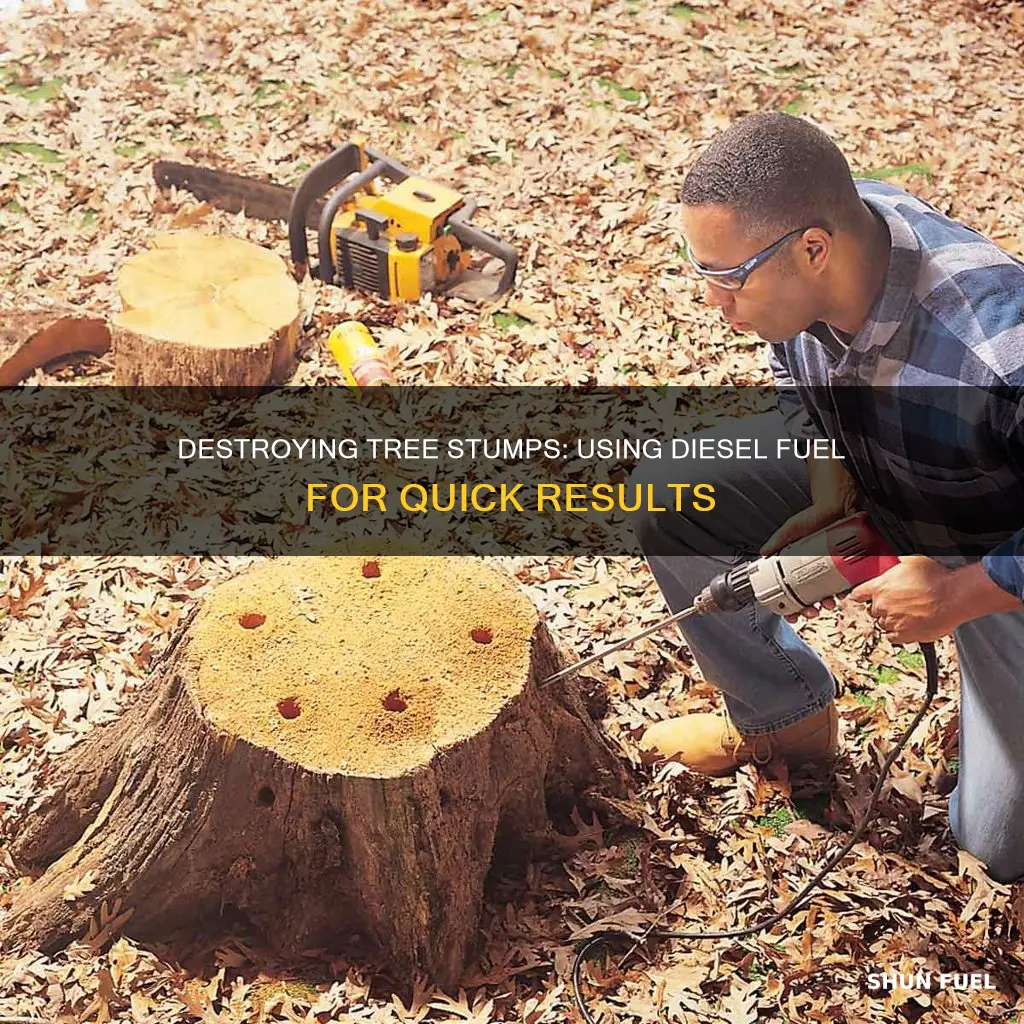 how to kill a tree stump with diesel fuel