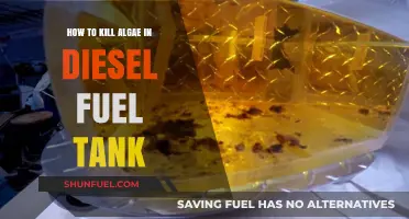 Eradicating Algae Growth in Diesel Fuel Tanks