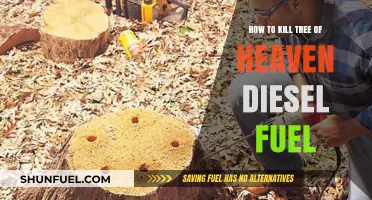 Eradicating Tree of Heaven: Diesel Fuel Method