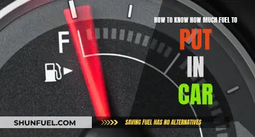 Understanding Your Car's Fuel Capacity and Needs