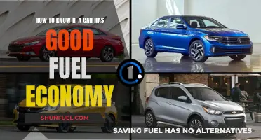 Fuel-Efficient Cars: How to Spot Them
