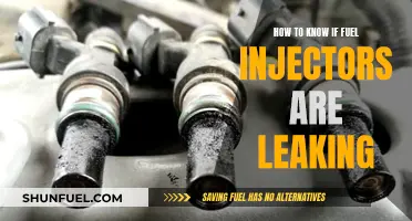 Fuel Injector Leaks: How to Spot Them Early