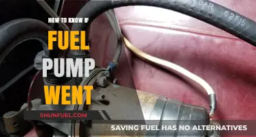 Signs Your Fuel Pump Failed: Diagnosing Common Symptoms and Solutions