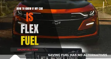 Flex Fuel or Not? Signs to Identify Your Car's Flexibility