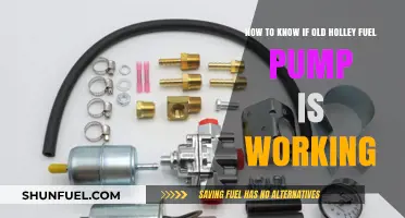Diagnosing Your Classic Holley Fuel Pump: Is It Still Functional?